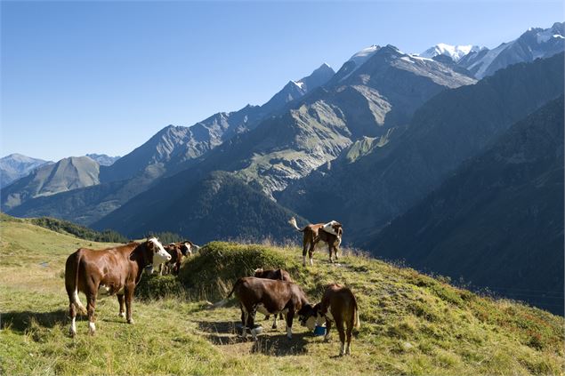 Le Col du Joly depuis le Baptieu - Gilles Lansard