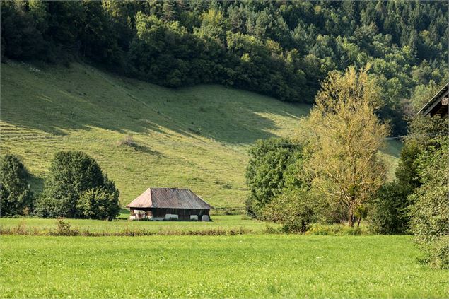 Paysage et village d'Ecole-en-Bauges - Didier Gourbin