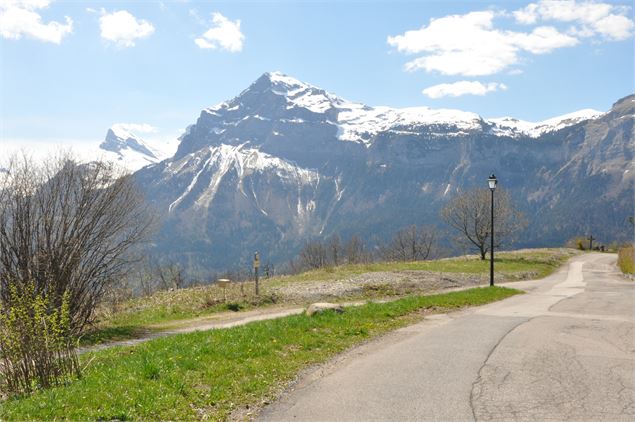 Vue sur la pointe d'Areu - OT Les Carroz