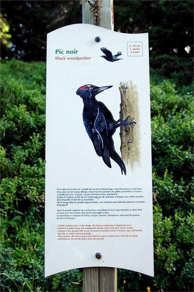 Sentier des oiseaux Châtel - Châtel Tourisme