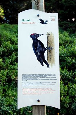 Sentier des oiseaux Châtel - Châtel Tourisme