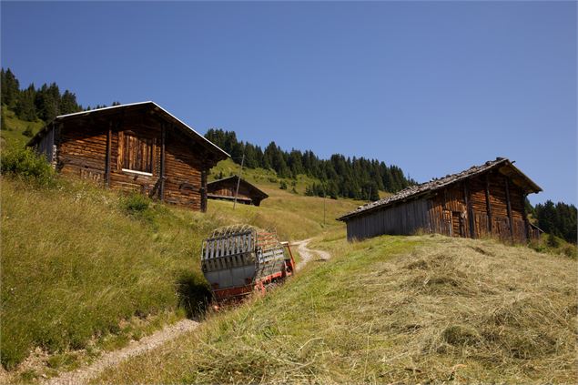 Le hameau des Pachons - P. Somelet