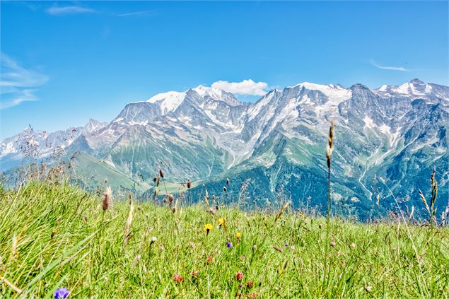 Le Mont Joly depuis le Bettex - Boris Moliner