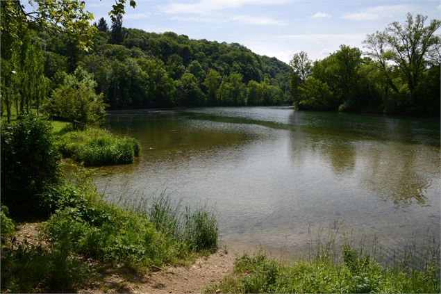 Le Suran à Neuville-sur-Ain - JF Basset