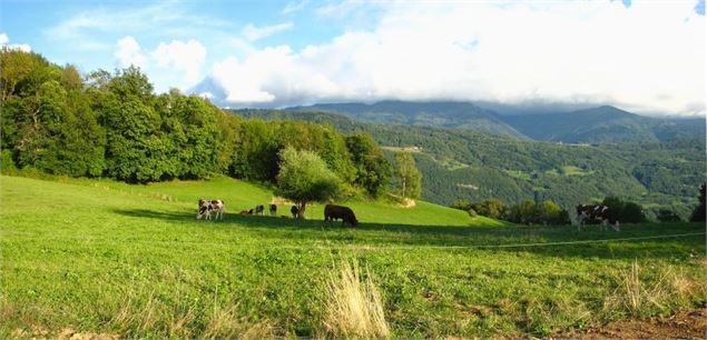 Le col de Cochette