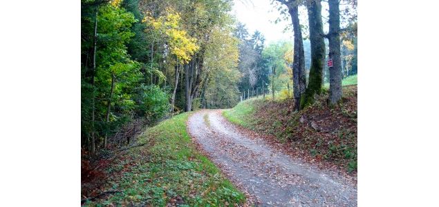 Circuit des granges - Bourget en Huile