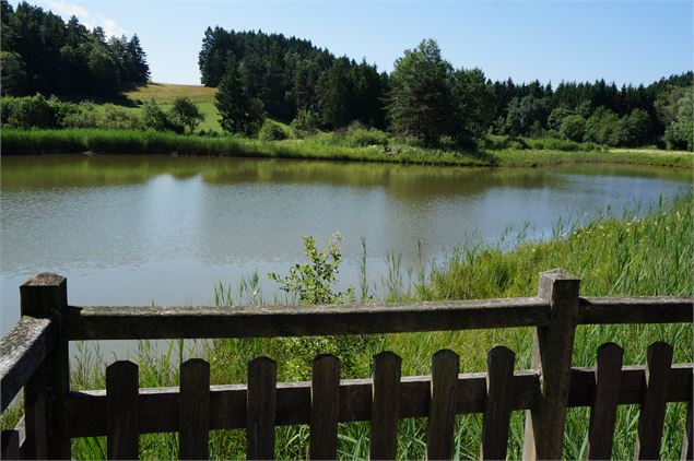 balade Marais des Lèches Ceignes - Mélanie Chanel