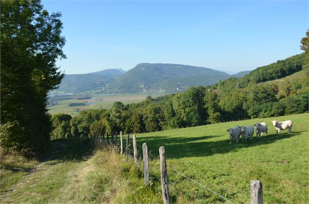 Sentier Mondragon - Ot Val Guiers