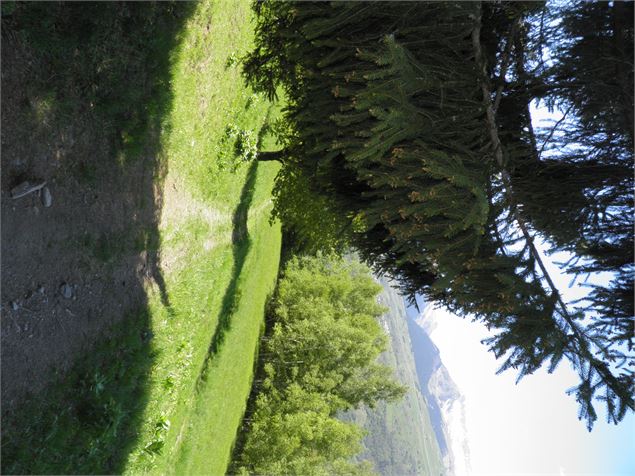 Le chemin de la Pierra - OTMLP