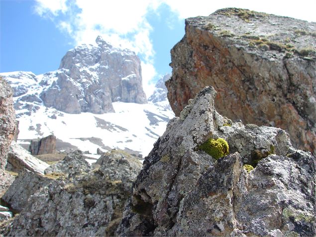 La Tête de Chat, GR des Aiguilles d'Arves - OT Albiez