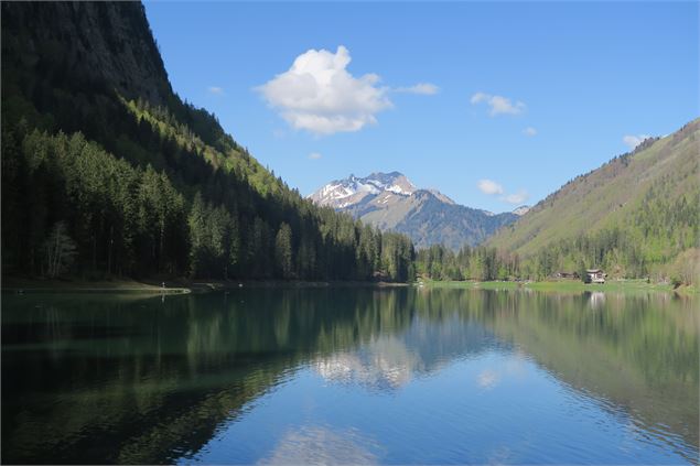 Lac de Montriond - Victor Demilly