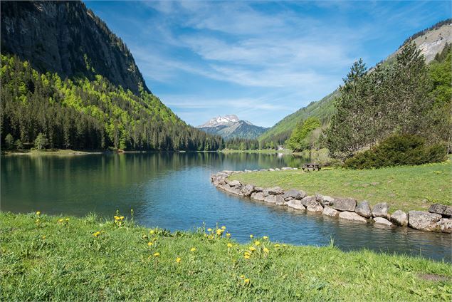 Le Lac de Montriond - Yvan Tisseyre / OT Vallée d'Aulps