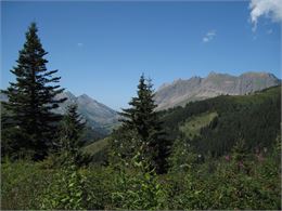 Sentier-du-Tétras-Lyre-au-J - Conseil départemental de Haute-Savoie