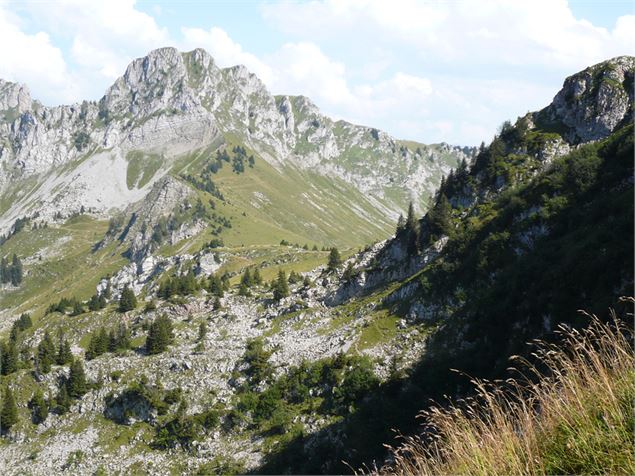 Chavasse - OT Alpes du Léman