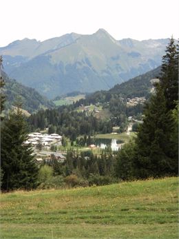 Les Bois de la Turche - SOLEGETS