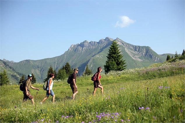 Le Grand Tour du Mont Chéry  et variante - SOLEGETS