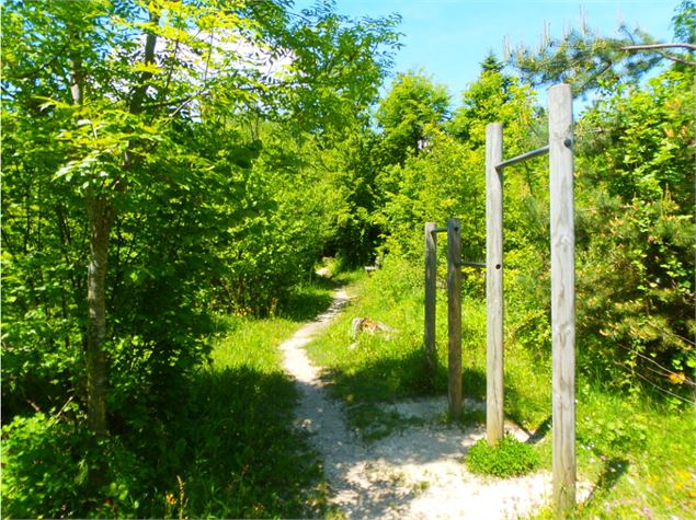 Parcours de santé de Choisy - Mairie de Choisy