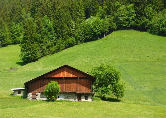 Des alpages verdoyants à la Pierra Menta - Rando pédestre 3 jours - K.Mandray