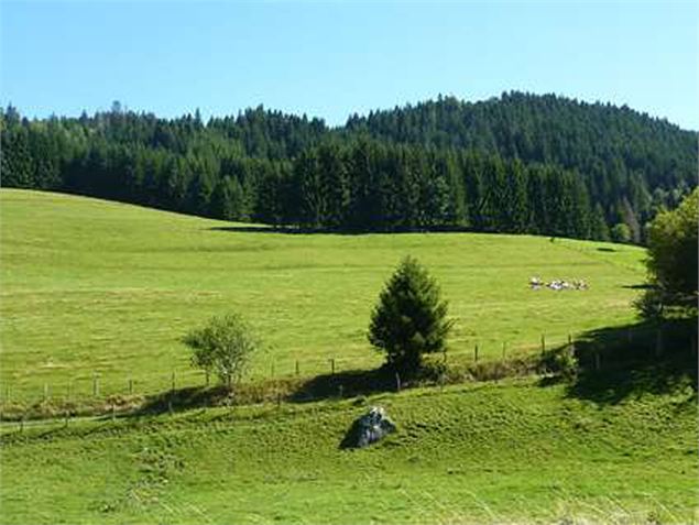 Alpage de Trécout - OT Alpes du Léman