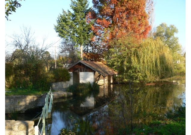 Étang Dompierre_Crédit Bourg-en-Bresse Agglomération (3) - Crédit Bourg-en-Bresse Agglomération (3)