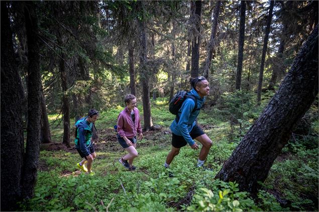 Balade en forêt - JNJ Photo