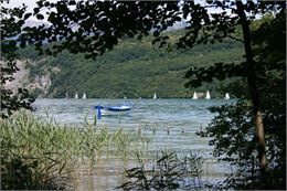 Sentier de découvertes "Les Roselières" - Lac Annecy Tourisme