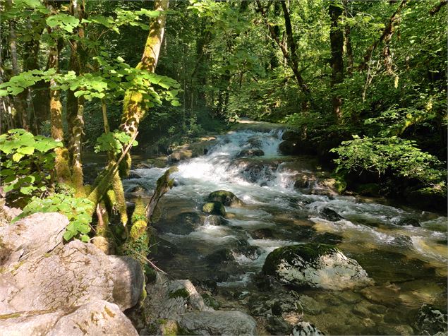 sentier au fil de l'eau en été à Chaley - Sabrina Megani