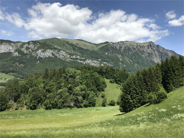 Vue sur le Marcelly - Praz de Lys Sommand Tourisme