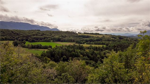 Randonnée à Songieu : Le bois du Geay - Office de tourisme Bugey Sud Grand Colombier