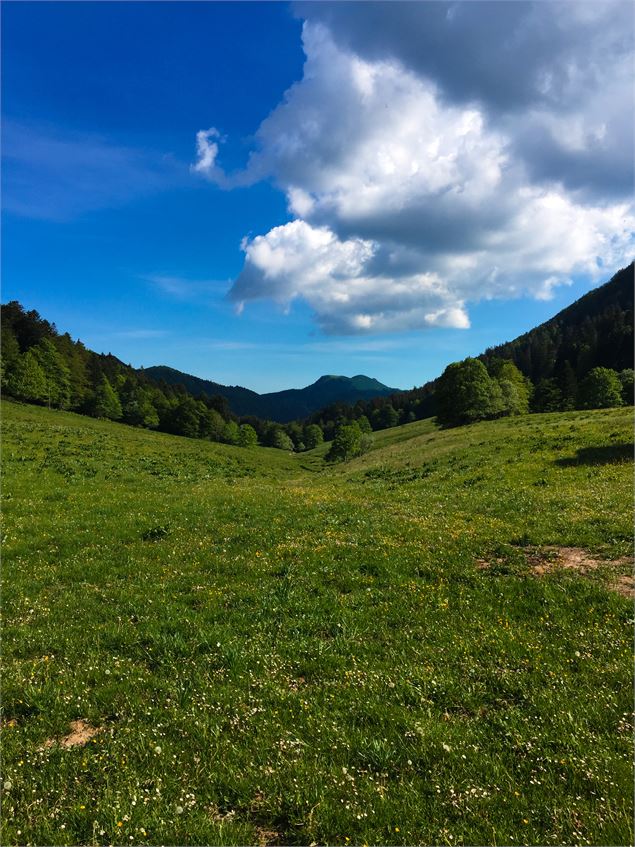 Combe du Cimetière - Grand Colombier - Col de la Biche - Sur Lyand - Maxime Ballet