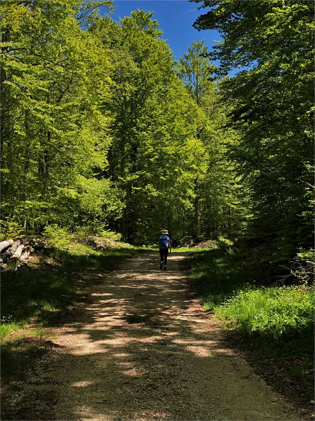 Chemin de randonnée du Plateau de Retord au départ des Plans d'Hotonnes - M.Ballet