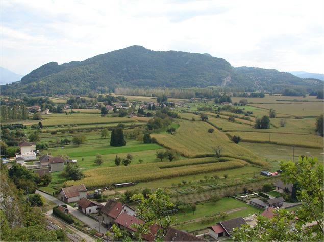 Sentier du mollard - Communauté de Communes de Chautagne