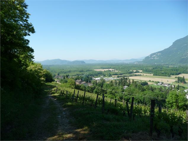 Point de vue - Communauté de Communes de Chautagne