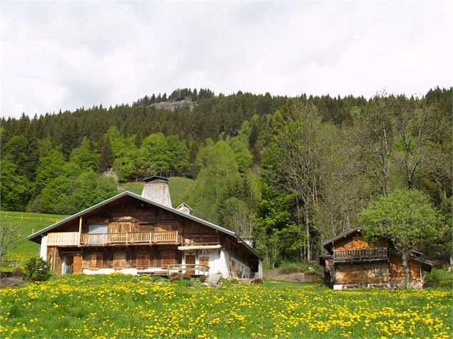 Chalet - OT Praz sur Arly