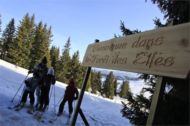 L'entrée de la forêt des elfes - M. Dalmasso