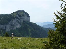 La Tête du Parmelan depuis la table d'orientation sur le sentier de l'Anglette - OTIPF - A_Rezvoy