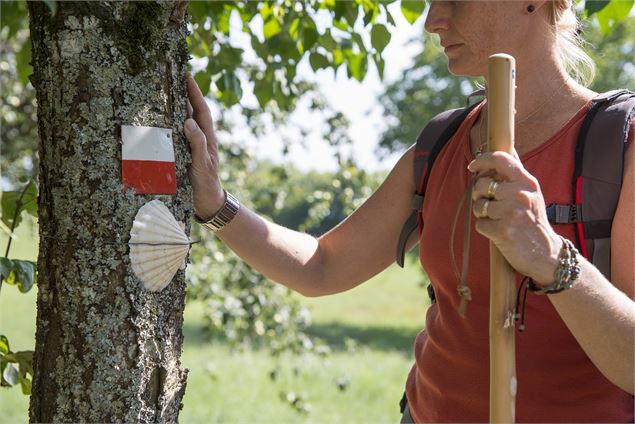 Balisage du Chemin de St Jacques de Compostelle Coquille St Jacques et balisage rouge et blanc du GR