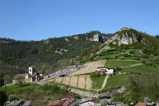 Mont Carmier à Cerdon - JF Basset