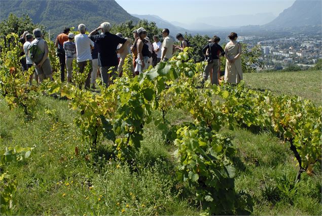 Chemin de la Poterne des Vignes - Club de l'image