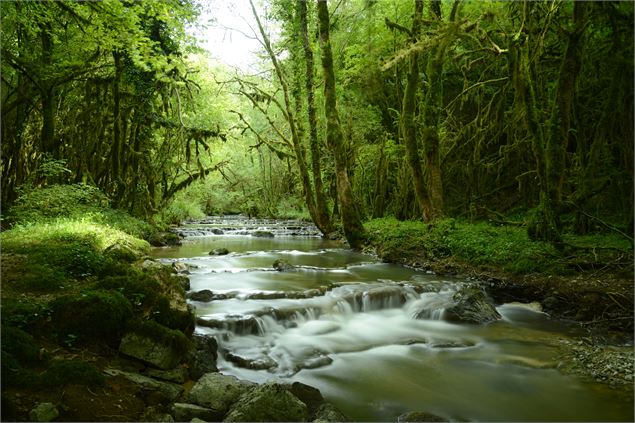 Sentier Fontaine Noire - Serrières-sur-Ain - JF Basset