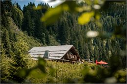 Sentier pédestre : des Lindarets à la Cascade des Brochaux_Montriond - Lucie Tanguy / Vallée d'Aulps