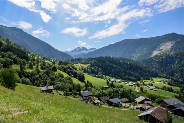 Les Curtillets - S.Cardon-LeBeaufortain