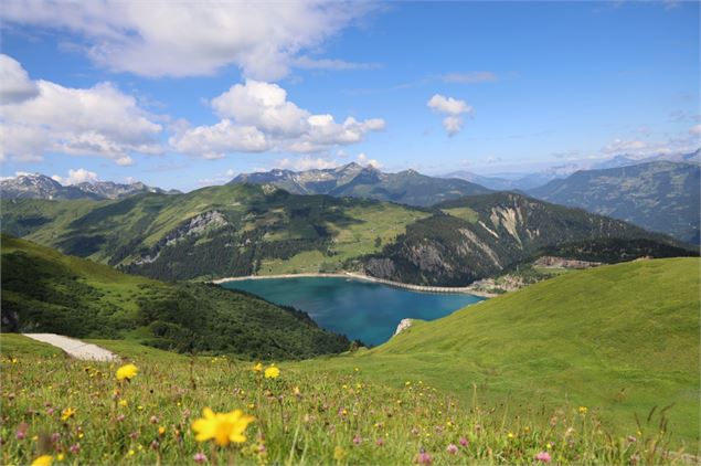 Petite Berge - S.Cardon-LeBeaufortain