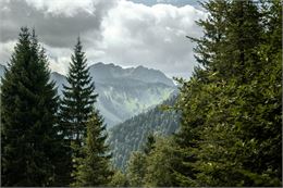 Montagnes de Haute-Savoie - Lucie Tanguy / Vallée d'Aulps Tourisme