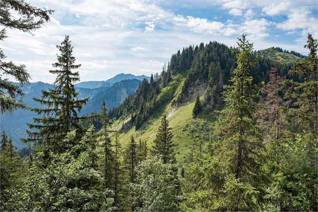 La pointe de la Gay depuis le col de la Lanche - Yvan Tisseyre / OT Vallée d'Aulps