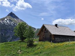 Chalets de Coeur - Cordon Tourisme