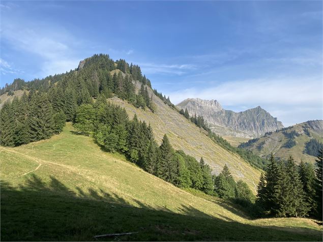 La tête du Treu - OT Flumet / ST Nicolas la Chapelle