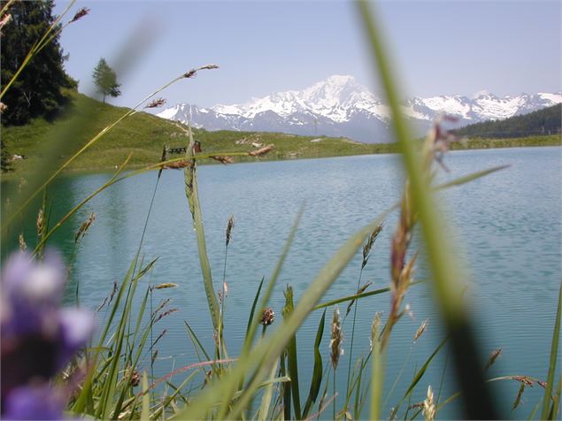 Le Lac Vert avec vue sur le Mont Blanc - OTGP