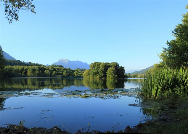 Lac Sainte Hélène - OT Coeur de Savoie