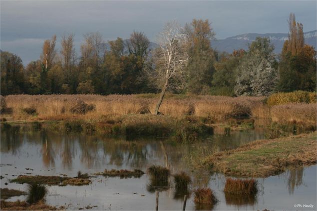 www.bourgetdulactourisme.com - phhauuy